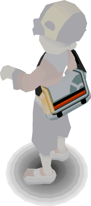 Sprite Sac (Médicaments) ♂ HGSS.png