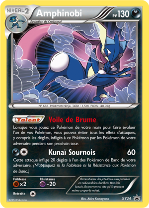 Carte Promo XY XY24.png