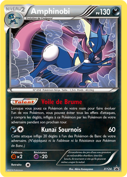Fichier:Carte Promo XY XY24.png