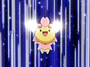 Ceriflor Zénith.png