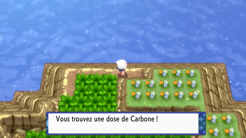 Fichier:Chenal 230 Carbone DEPS.png