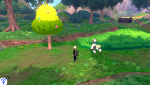 Forêt Flexion Arbre à Baies 7 EB.png