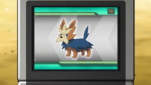 NB111 - Ponchien Pokédex.png