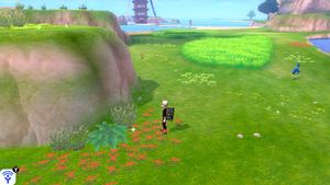 Plage de l'Épreuve Objet Caché 8 EB.png