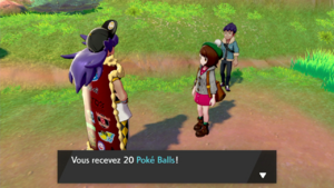 Route 2 20 Poké Balls EB.png