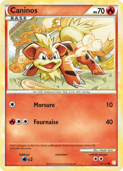 Fichier:Carte HeartGold & SoulSilver 65.png