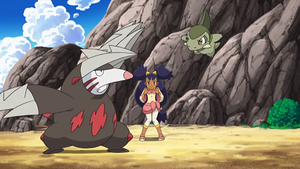 NB087 - Minotaupe et Coupenotte d'Iris.png