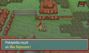 Route 113 Max Repousse ROSA.png