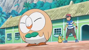 SL056 - Brindibou de Sacha.png