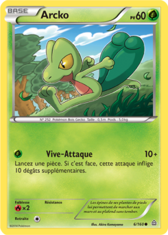 Arcko (XY Primo-Choc 6)