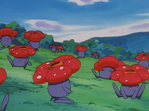 EP239 - Rafflesia.png