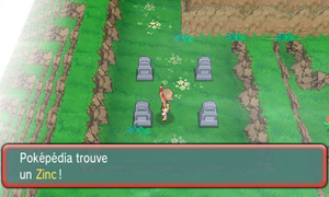 Mont Mémoria Zinc ROSA.png