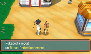Myokara Ruban Perfectionnement ROSA.png