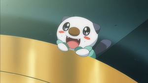 NB051 - Moustillon de Sacha.png