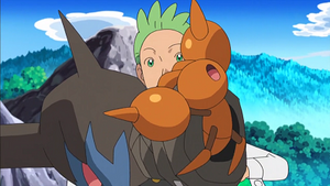 NB056 - Crabicoque de Rachid.png