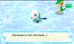 Le partenaire affecté par le souffle du Néant Gelé.