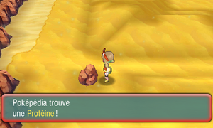 Route 111 Protéine ROSA.png