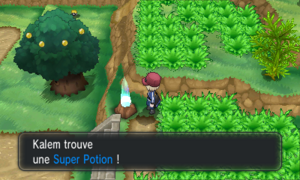 Route 11 Super Potion XY.png