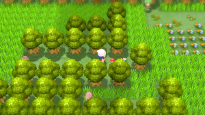 Route 229 Tissu Fauche DEPS.png