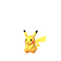 Pikachu (caché)