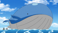 Wailord (de la Team Rocket)