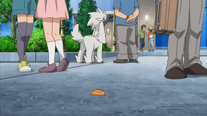 XY129 - Couafarel d'un Dresseur.png
