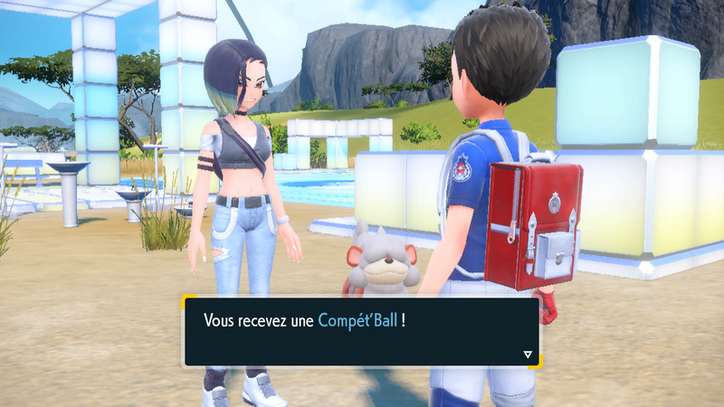 Fichier:Zone Savane Compét'Ball EV.png