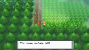 Forêt de Vestigion Super Ball DEPS.png