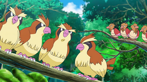 LV001 - Roucool et Piafabec (Flash-back).png