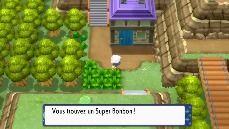 Fichier:Route 225 Super Bonbon 2 DEPS.png