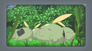 XY055 - Gloupti (Flash-back).png