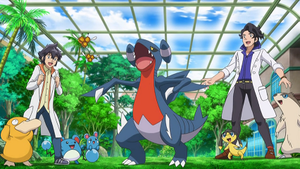 XY068 - Carmache du Professeur Platane (Flash-back).png