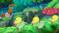 Doduo, Dodrio, Chétiflor et Rafflesia (sauvages)