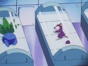 EP195 - Mystherbe d'un Dresseur.png