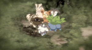 Film 17 - Linéon, Teddiursa et Cabriolaine.png