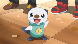 NB053 - Moustillon de Sacha.png