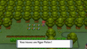 Route 215 Hyper Potion DEPS.png