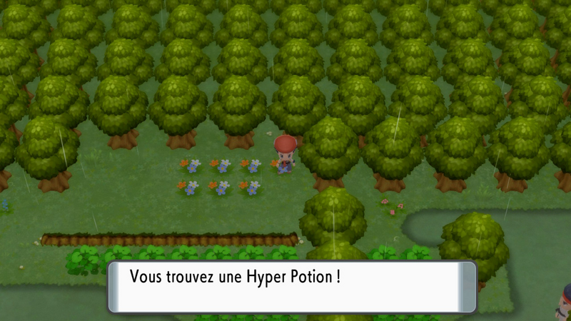 Fichier:Route 215 Hyper Potion DEPS.png