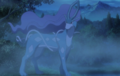 Suicune (sauvage)