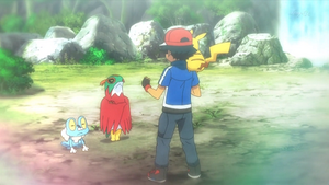 XY038 - Grenousse et Brutalibré de Sacha (Flash-back).png