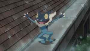 XY084 - Croâporal de Sacha.png