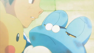 XY139 - Grenousse de Sacha (Flash-back).png