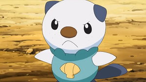 NB020 - Moustillon de Sacha.png