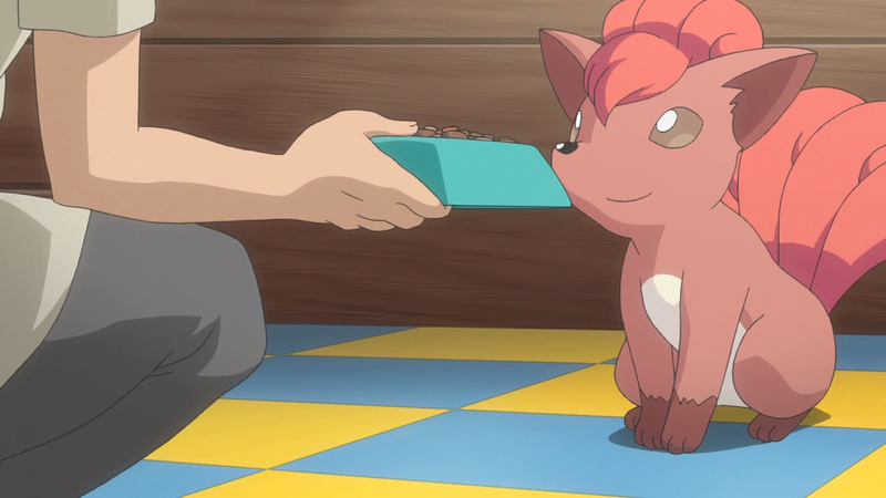 Fichier:PO04 - Goupix de la Maison Pokémon.png