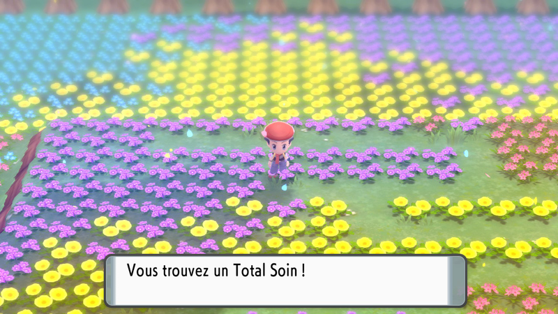 Fichier:Pré de Floraville Total Soin DEPS.png