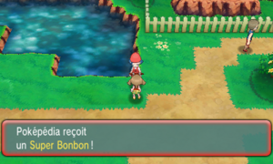 Route 117 Super Bonbon ROSA.png