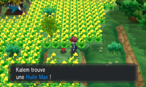 Village Pokémon Huile Max XY.png