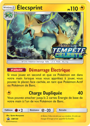 Carte Promo SM SM130.png