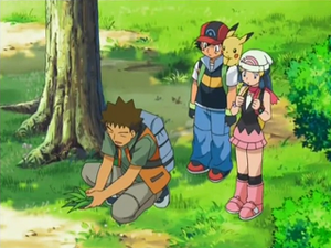 DP119 - Pikachu de Sacha (Flash-back).png