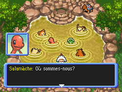 Les compères atterrissent à la Source Chaude.